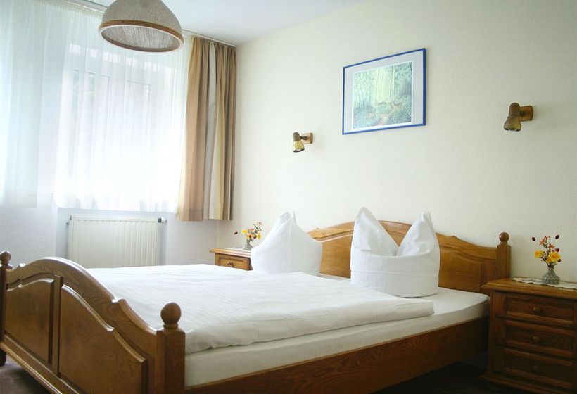 Отель Bad Schmiedeberger Hof