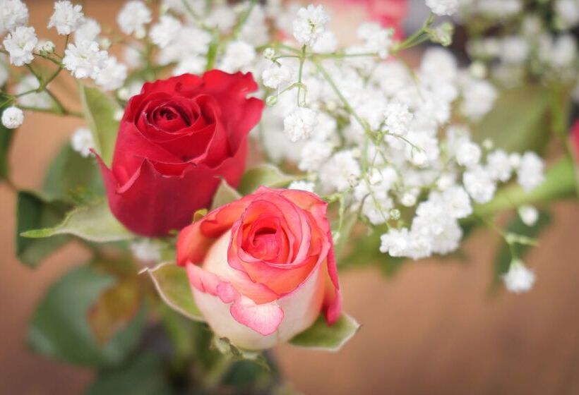 Best Western Comfort Business Hotel Düsseldorf Neuss