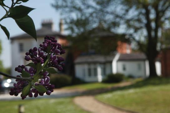 酒店 Best Western Gatehouse