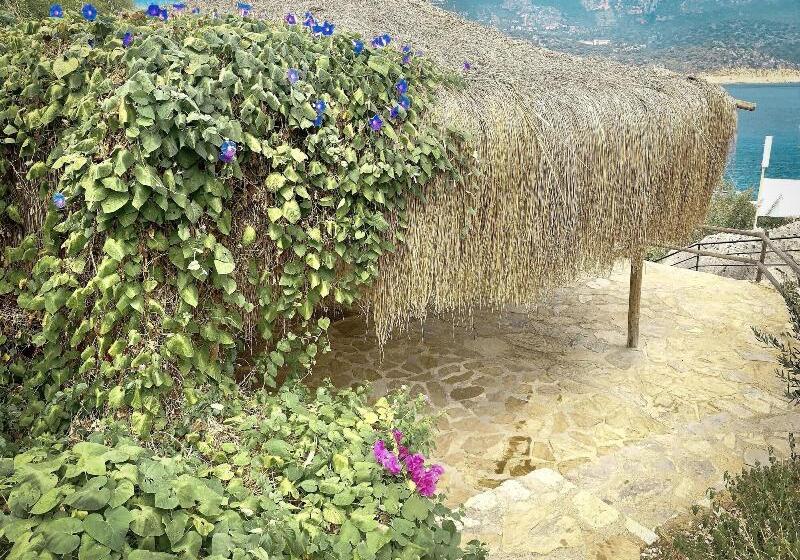 Club Hotel Barbarossa