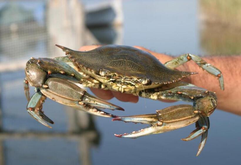 Dalyan Konak Su Otel