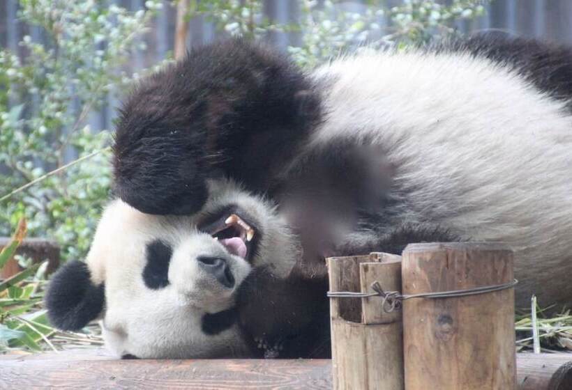 Day Nice Hotel Tokyo