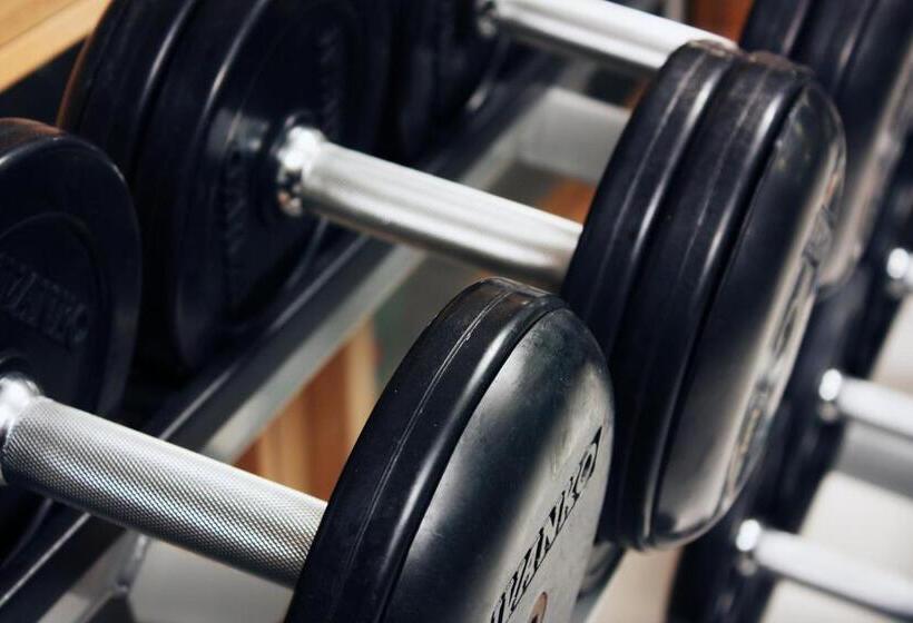 Dream Hill Business Deluxe Hotel Asia