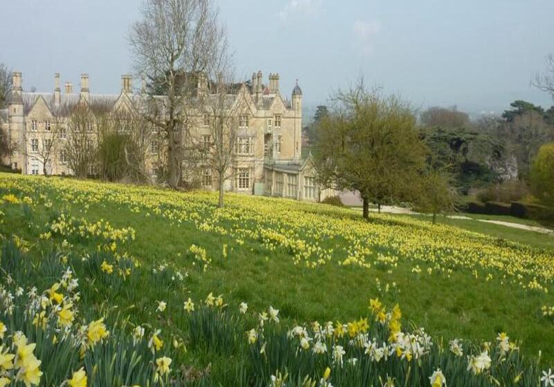 酒店 Dumbleton Hall