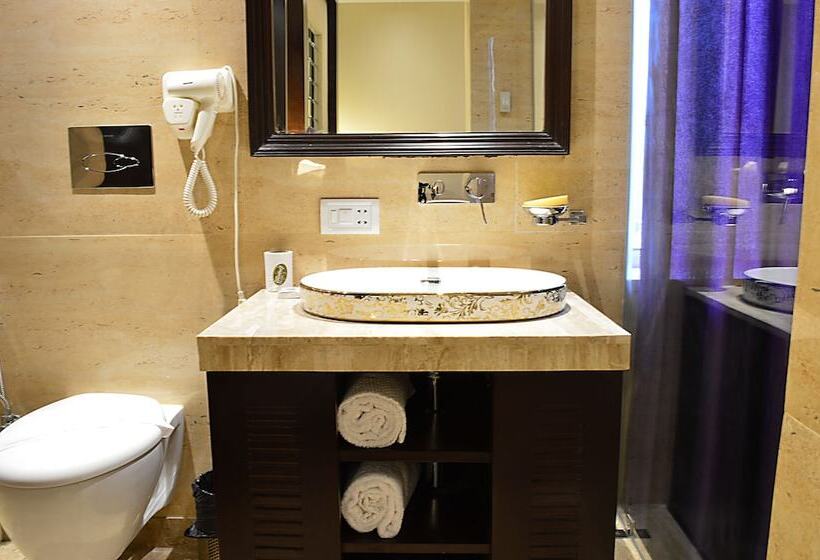 Отель Emperor Palms At Karol Bagh