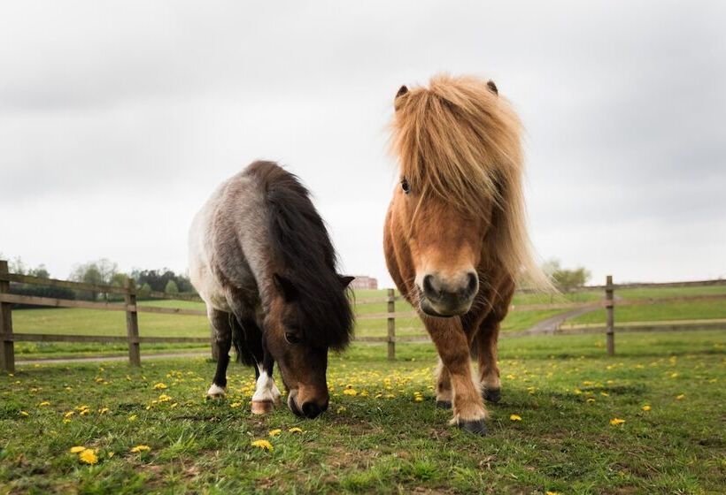 Four Seasons Hotel Hampshire