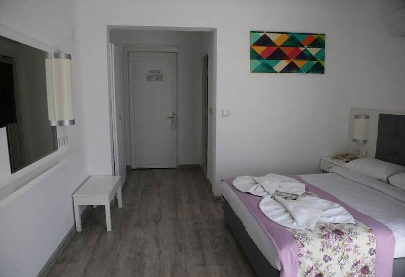 בית מלון כפרי Halici