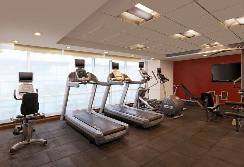 Отель Hilton Garden Inn New Delhi/saket