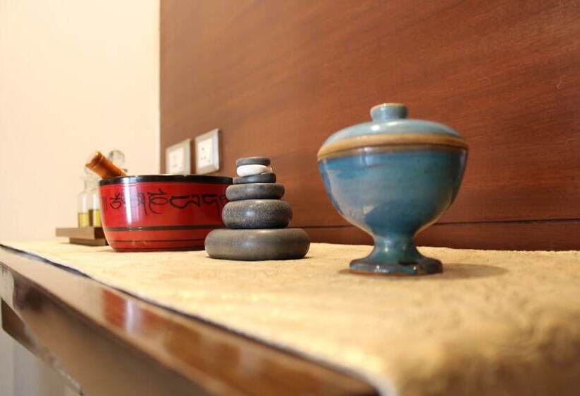 Отель Hyatt Centric Janakpuri New Delhi