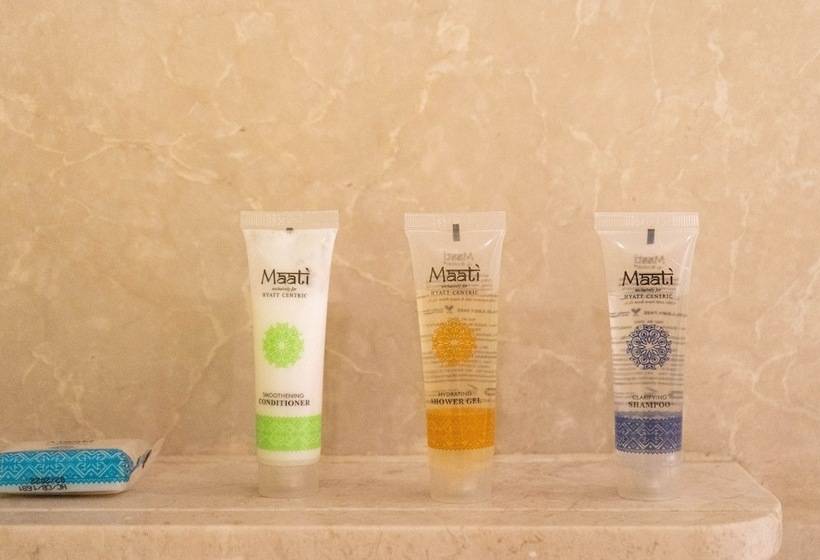 Отель Hyatt Centric Janakpuri New Delhi