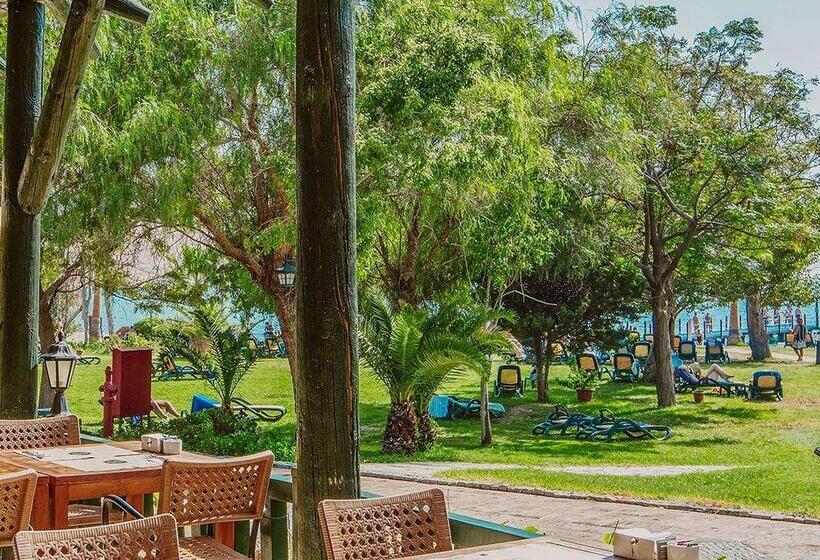 فندق Selectum Collection Bodrum