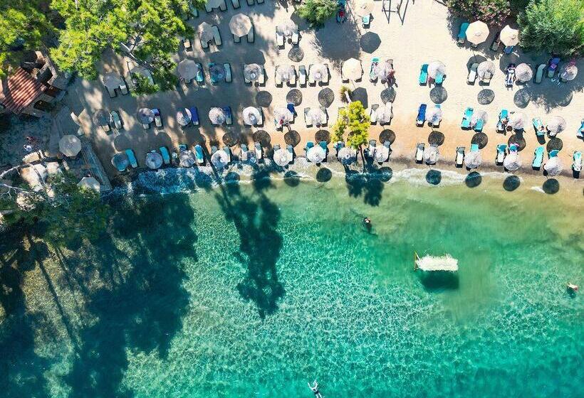 호텔 Marmaris Bay Resort   Adults Only