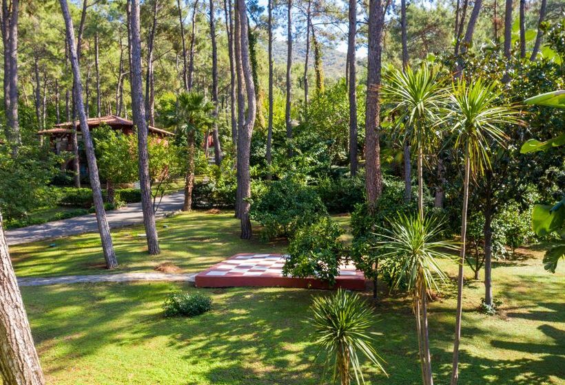 호텔 Marmaris Bay Resort   Adults Only