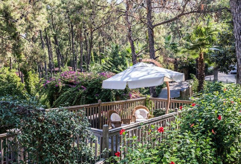 호텔 Marmaris Bay Resort   Adults Only