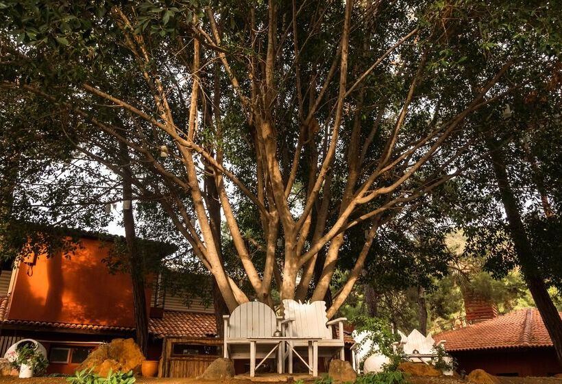 호텔 Marmaris Bay Resort   Adults Only