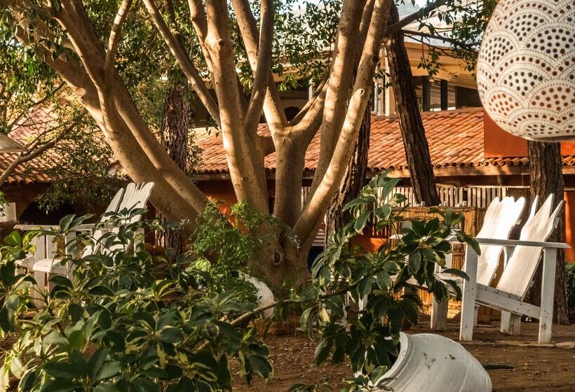 호텔 Marmaris Bay Resort   Adults Only