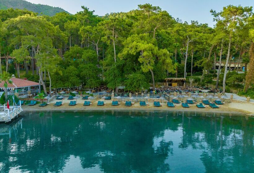 호텔 Marmaris Bay Resort   Adults Only
