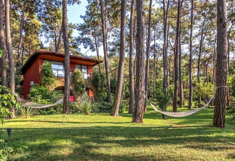 호텔 Marmaris Bay Resort   Adults Only