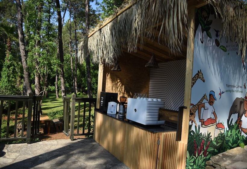 호텔 Marmaris Bay Resort   Adults Only