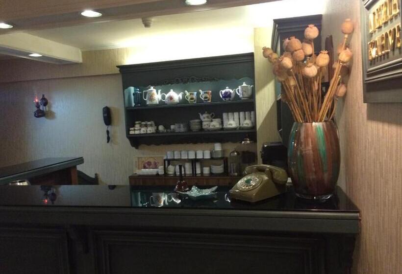 هتل Nezih Istanbul