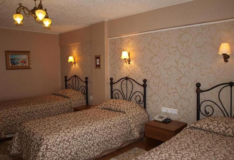 هتل Nezih Istanbul