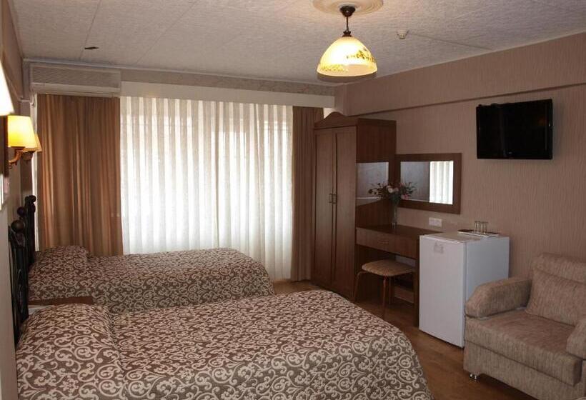 هتل Nezih Istanbul