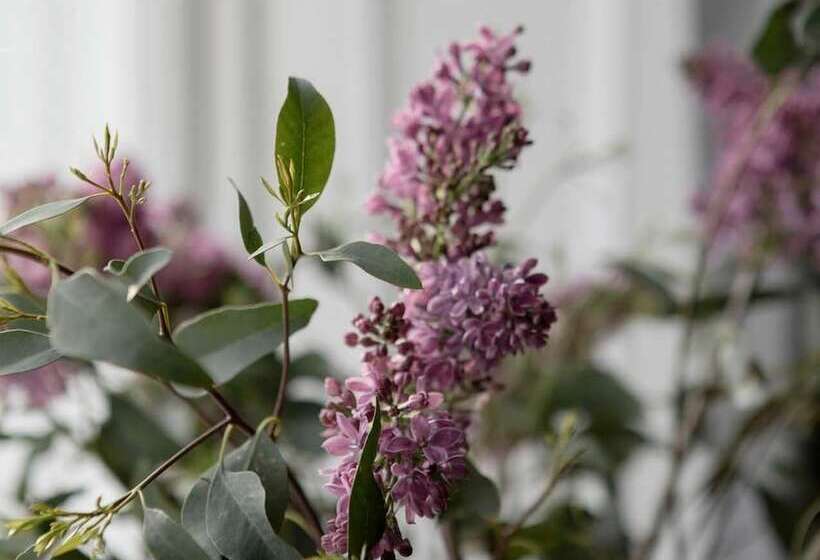 בית מלון כפרי Pembroke Hall