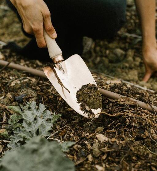 בית מלון כפרי Agriturismo I Pini