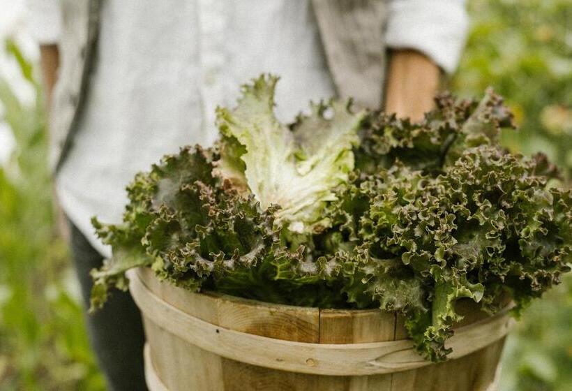 בית מלון כפרי Agriturismo I Pini