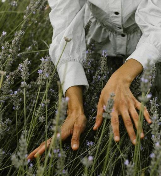 בית מלון כפרי Agriturismo I Pini