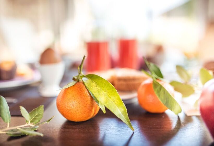 교외 호텔 Il Milione Country