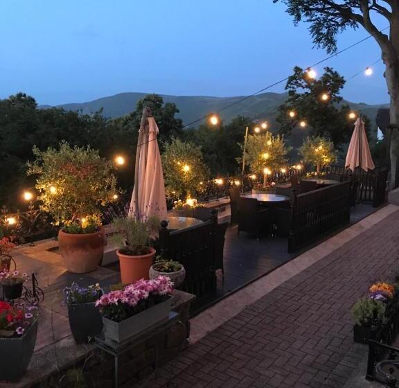 Отель Seawood House Boutique Bed And Breakfast