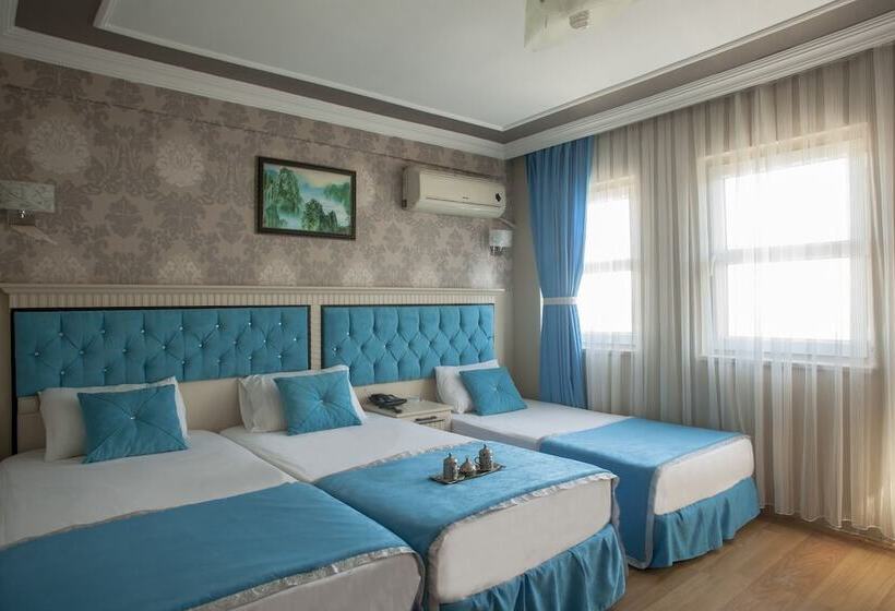 ホテル Sirkeci Grand Hurriyet