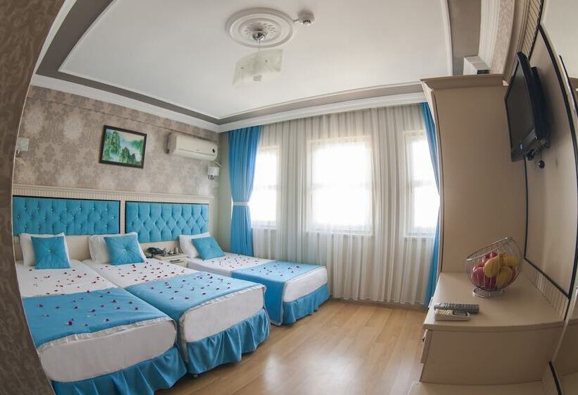 ホテル Sirkeci Grand Hurriyet