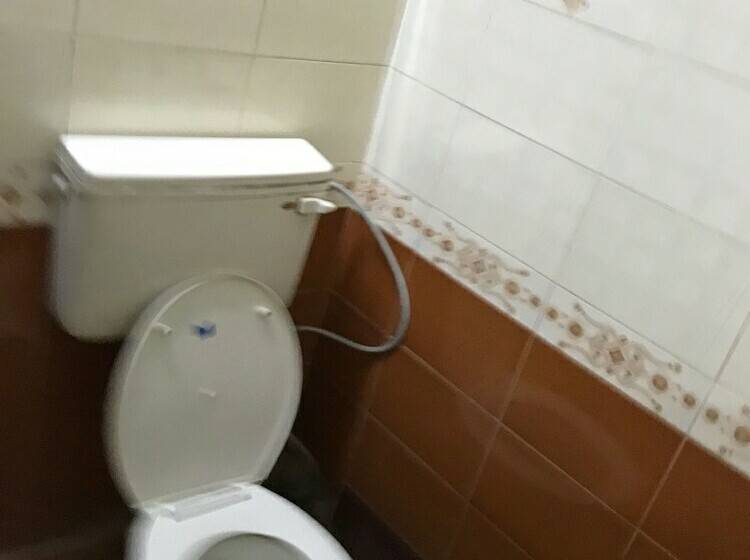 בית מלון כפרי Star Palace Paharganj