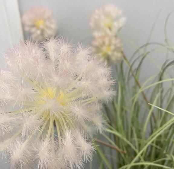 בית מלון כפרי The Broadway