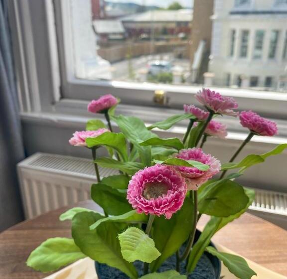 בית מלון כפרי The Broadway