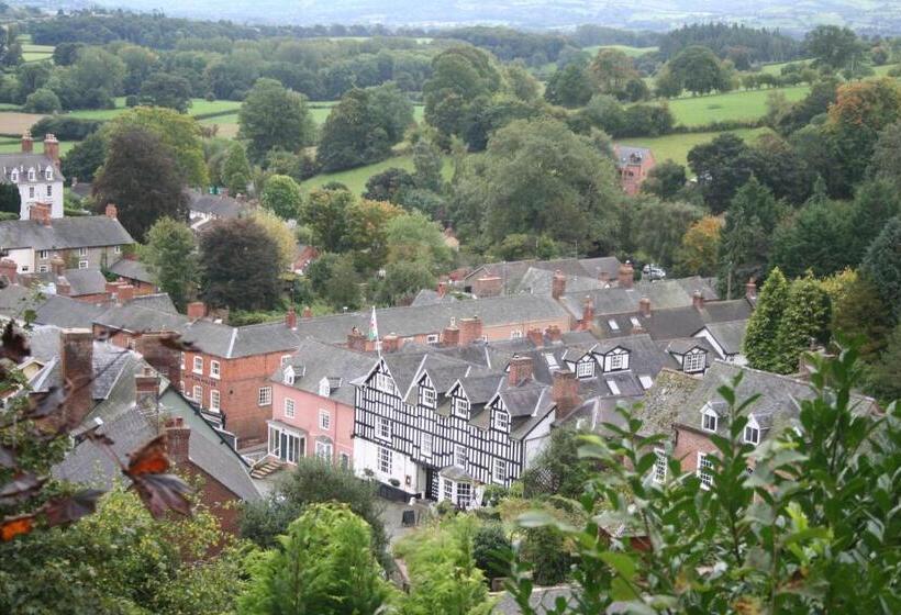 בית מלון כפרי The Dragon