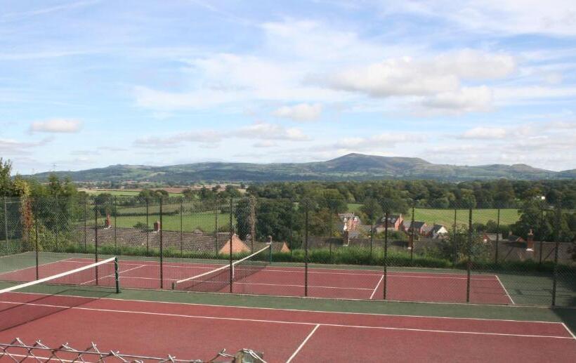 בית מלון כפרי The Dragon