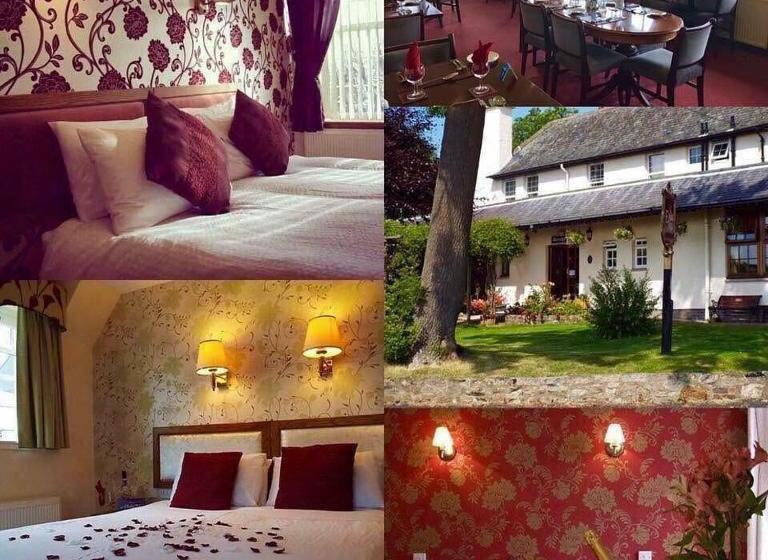 Отель The Elgin