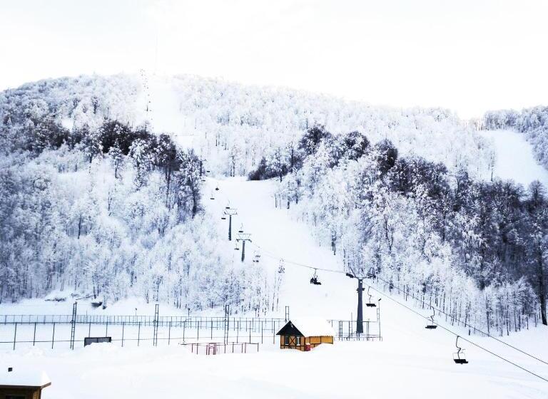 هتل The Green Park Kartepe