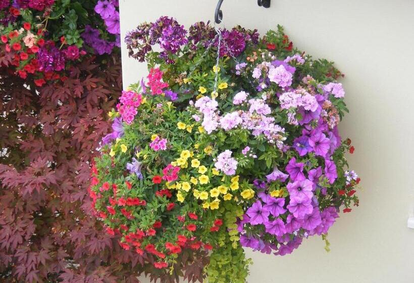 בית מלון כפרי The Old Lodge