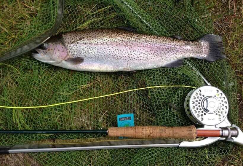 فندق The Pierhouse