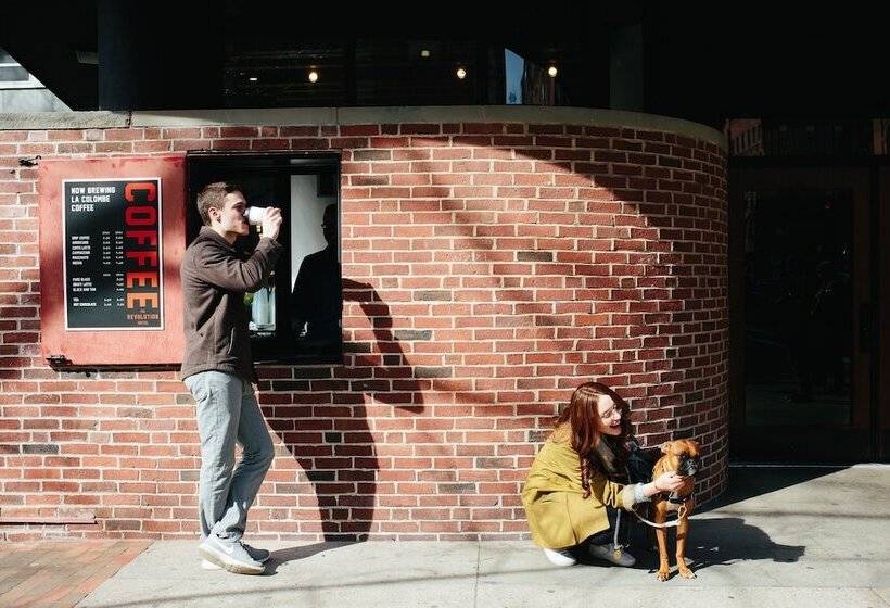 בית מלון כפרי The Revolution