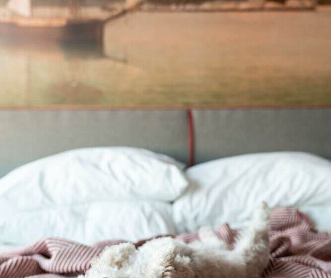 Отель The Revolution