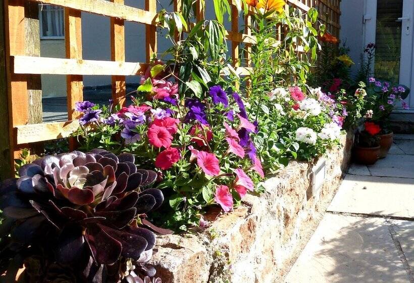 هتل The Somerville