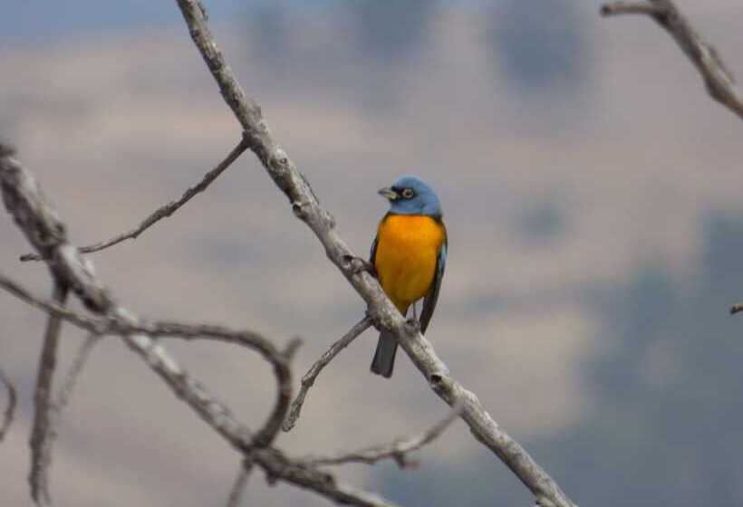 Отель Villa Antigua