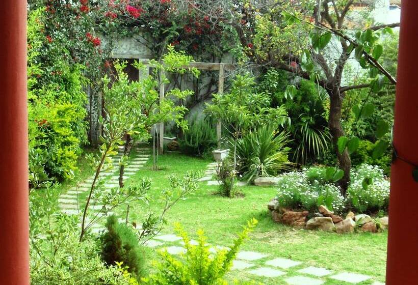 Отель Villa Antigua