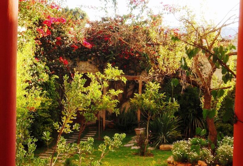 Отель Villa Antigua