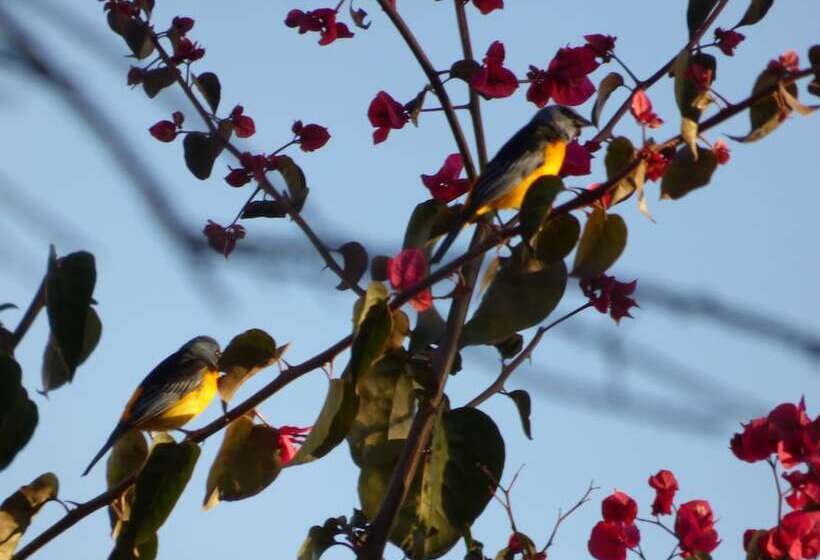 Отель Villa Antigua